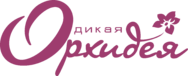 Салон-парикмахерская Дикая Орхидея